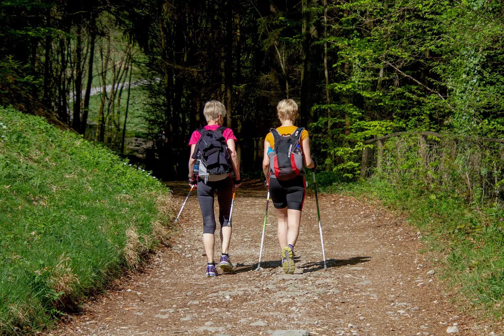 En forme et en bonne santé grâce à la marche nordique
