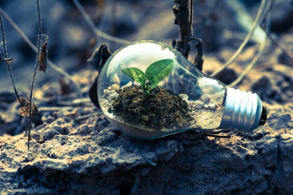 Power & Energy – already switched to LED?