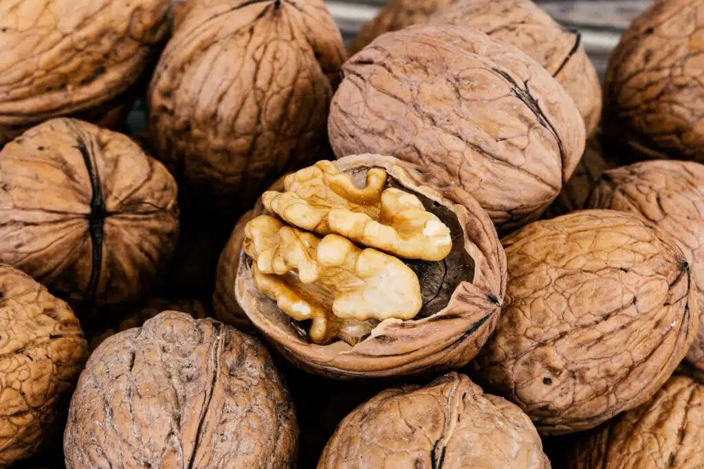 Brainfood – Lebensmittel für dein Hirn