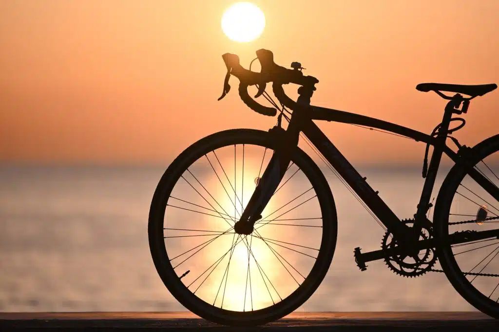 On the saddle: cycling sports
