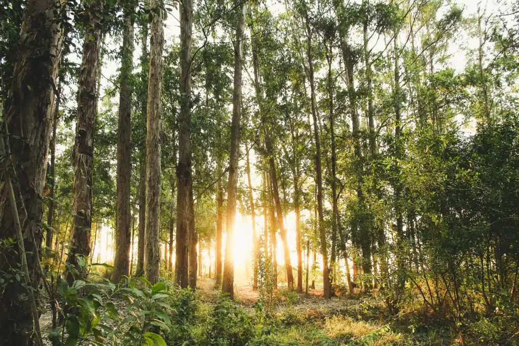 Sport in der Natur – vielseitig vorteilhaft
